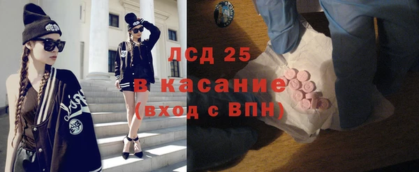 гидра Богородицк
