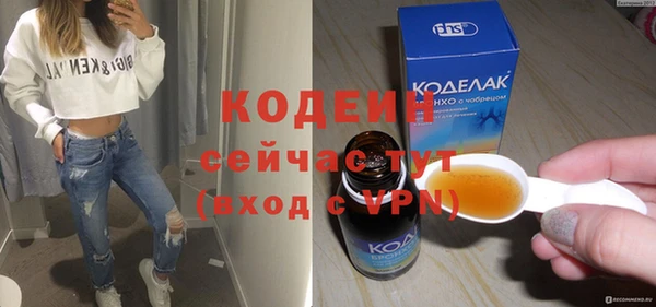 гидра Богородицк