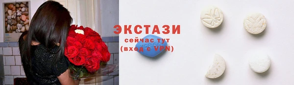 гидра Богородицк