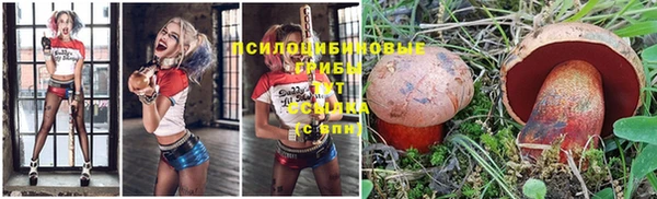 мет Богданович
