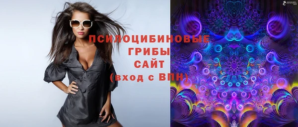 мет Богданович