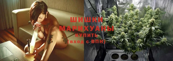 гидра Богородицк