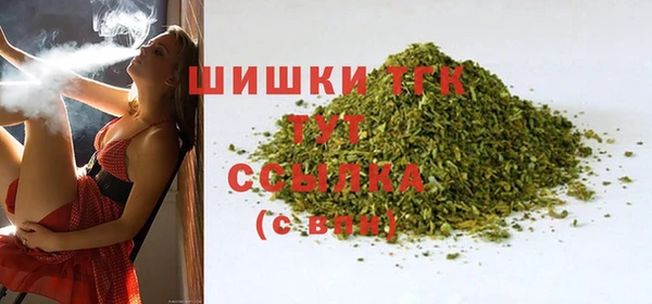 гидра Богородицк