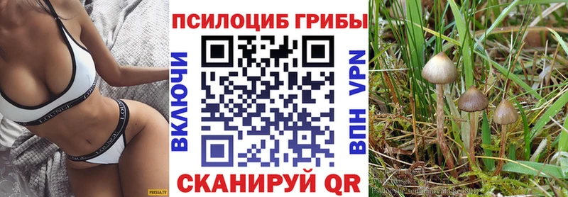 хочу   Кузнецк  Галлюциногенные грибы мухоморы 